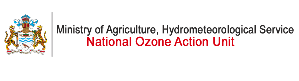 National OZONE Action Unit